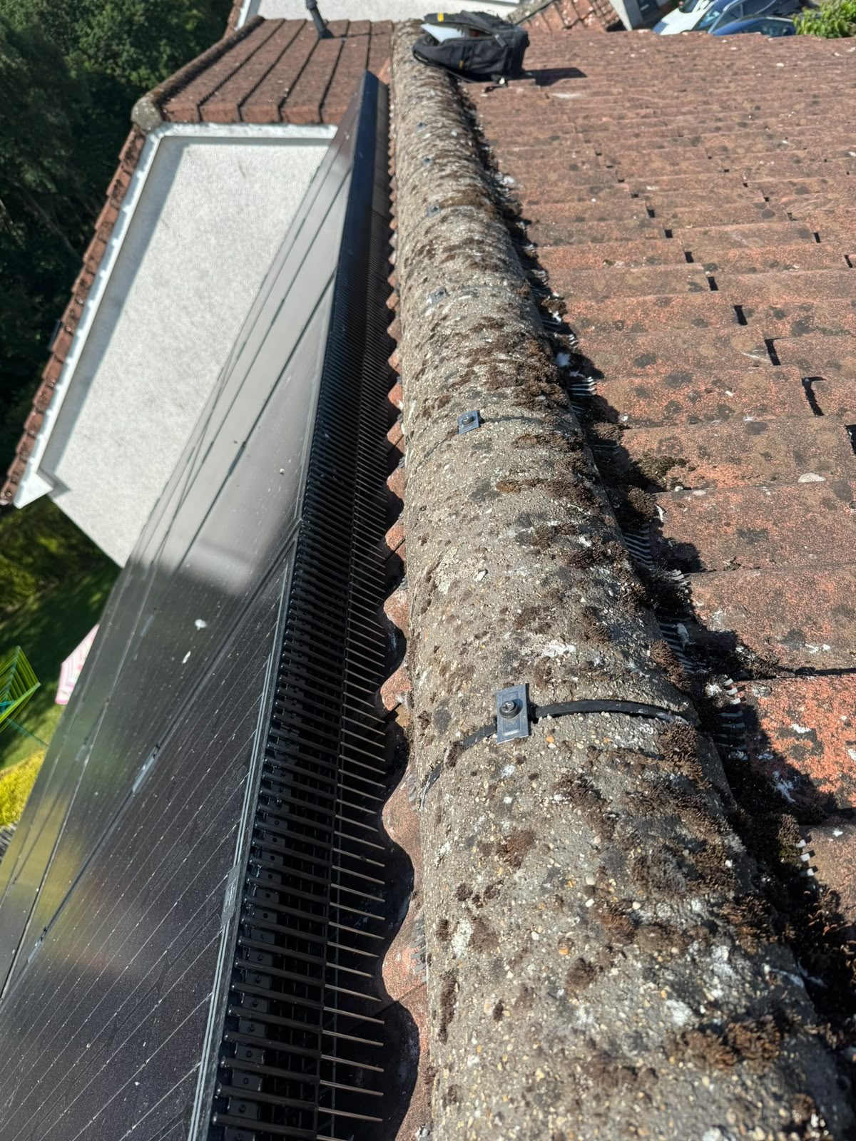 Ridge and roof-edge bird deterrent comb fitted above solar panels