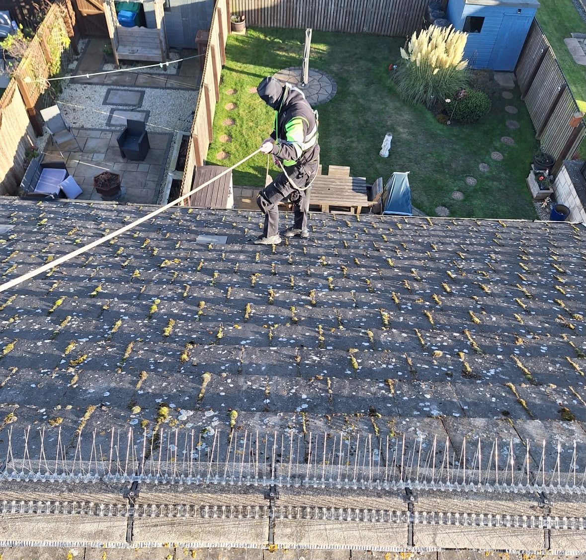 Technician installing roofline bird spikes on a Glasgow building