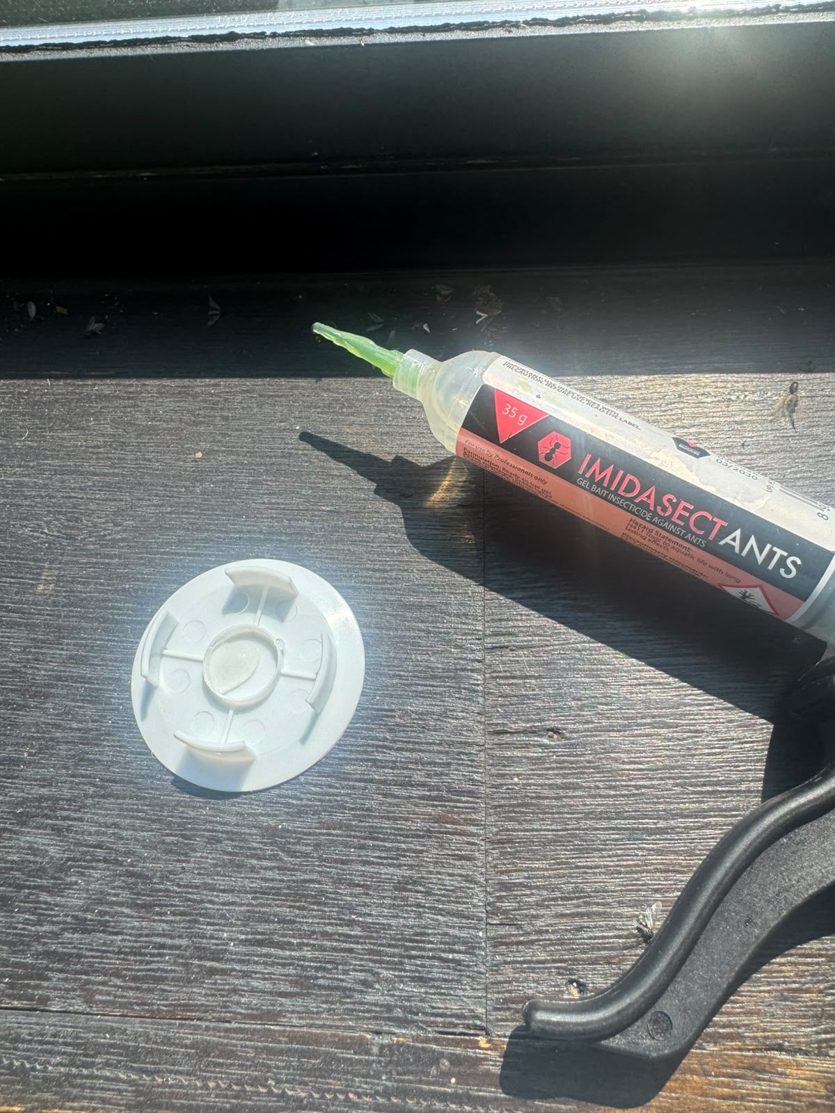Ant gel bait cartridge and bait dish used during an ant treatment in Glasgow