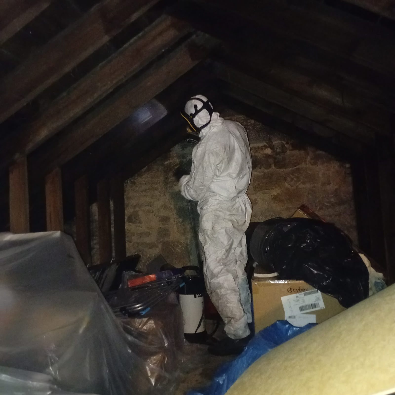 Pest control inspection of an attic space in a Glasgow property