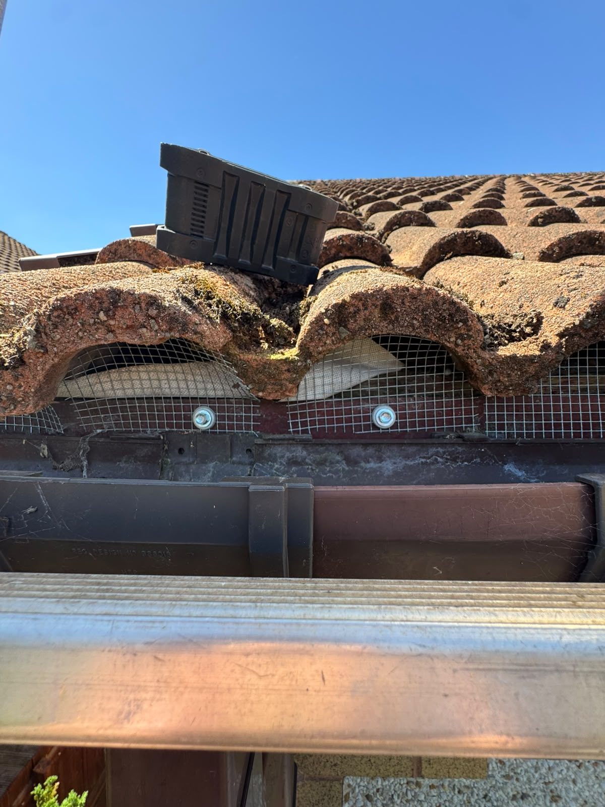 Roof tile guards and mesh blocking bird access gaps at roof level