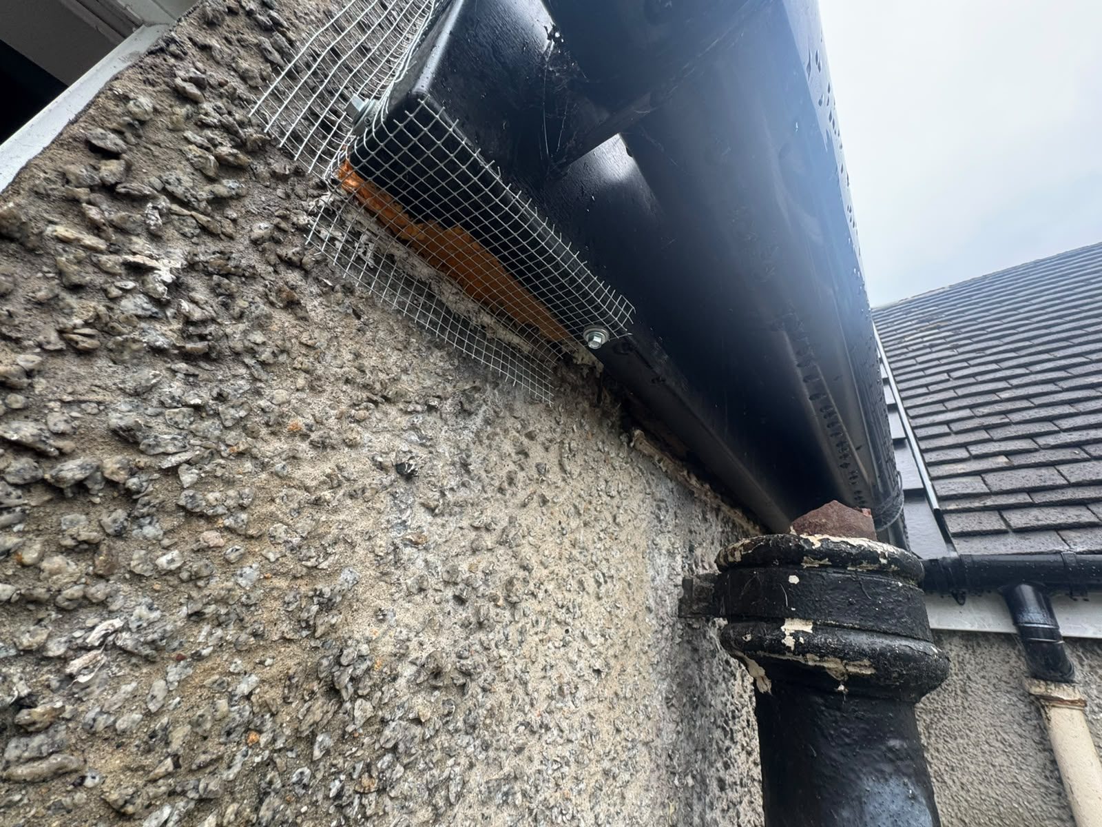 Mesh proofing around a downpipe and wall opening to exclude rodents
