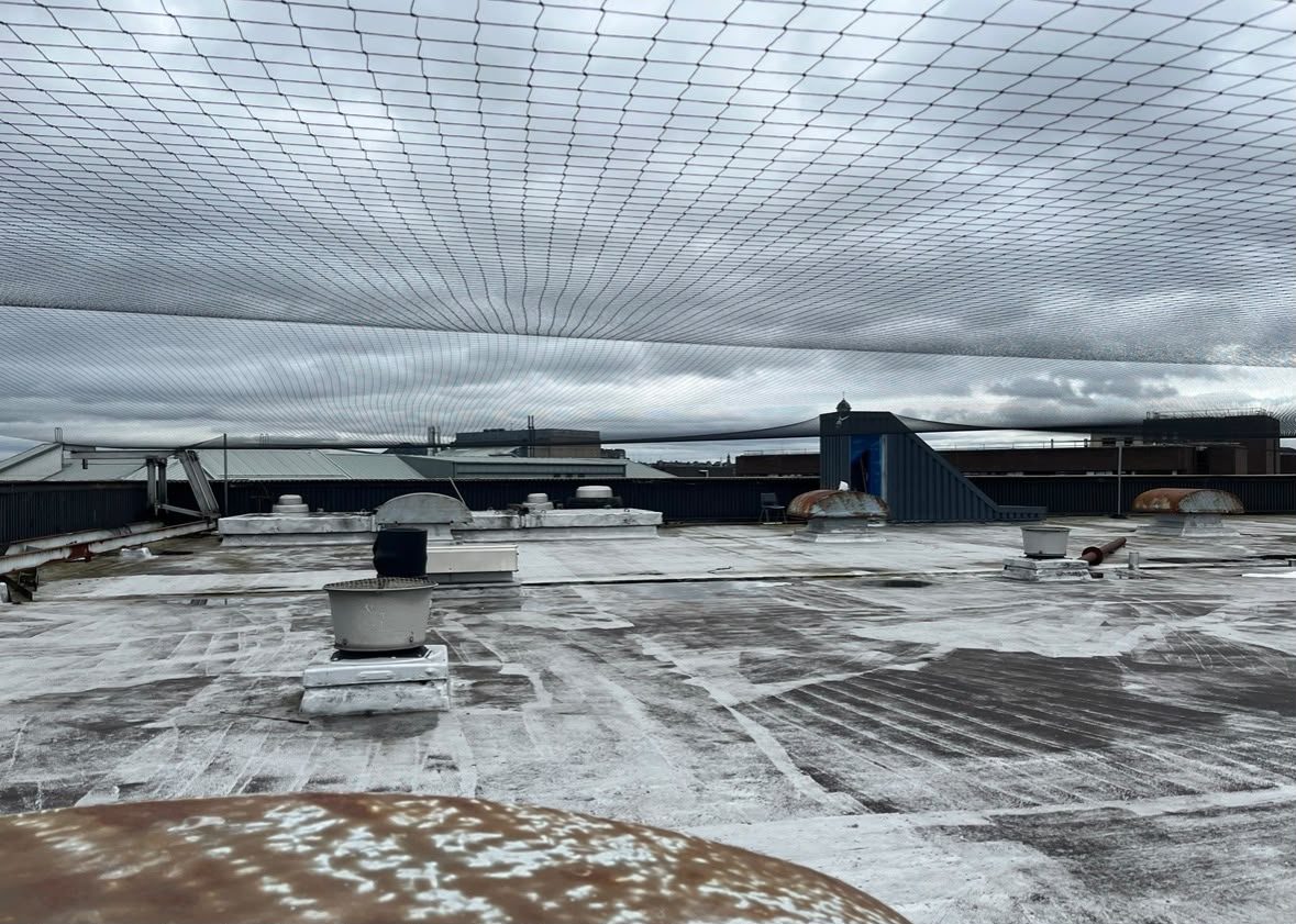 Large bird exclusion net installed over a commercial roof in Glasgow
