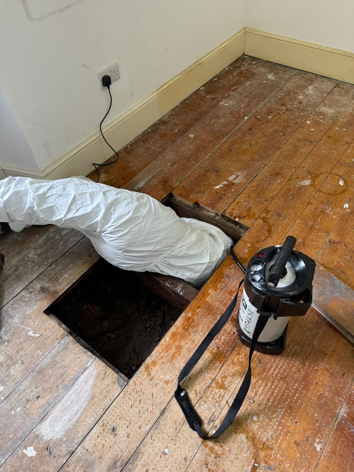 Floorboards lifted to treat and proof a rat run beneath a room