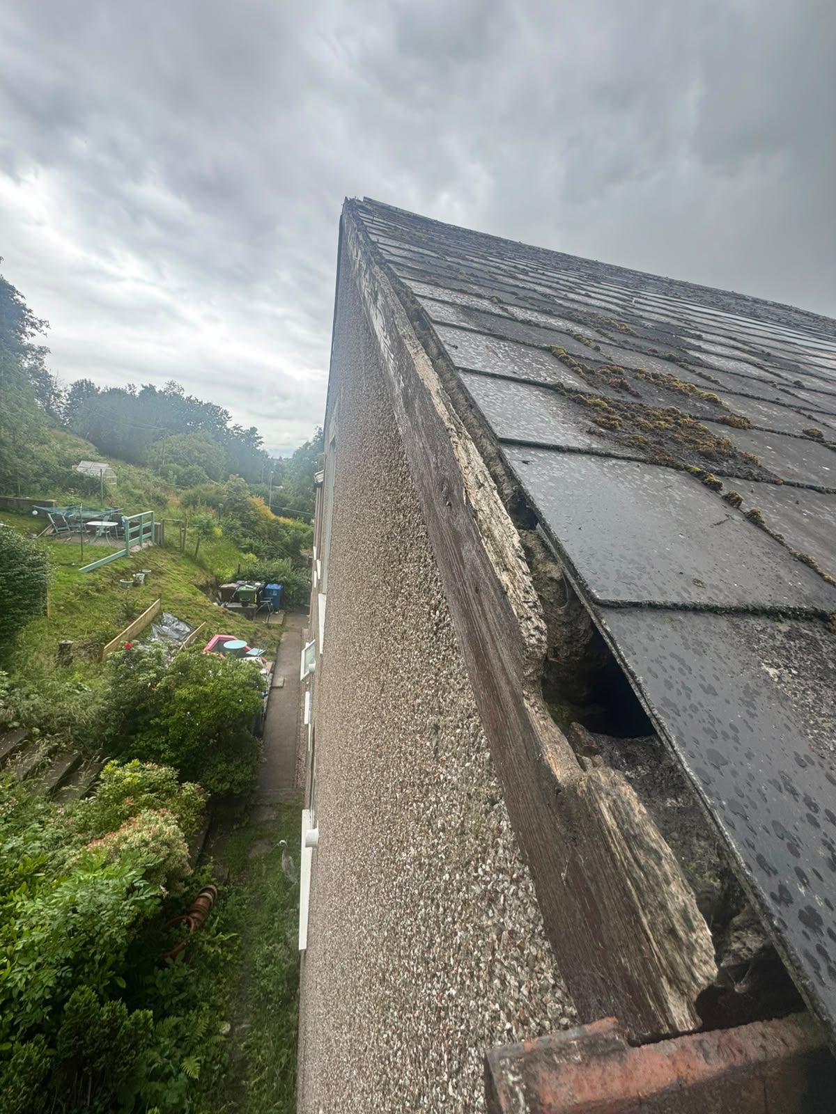 Moss covered roof edge and damaged roofline inspected for bird access