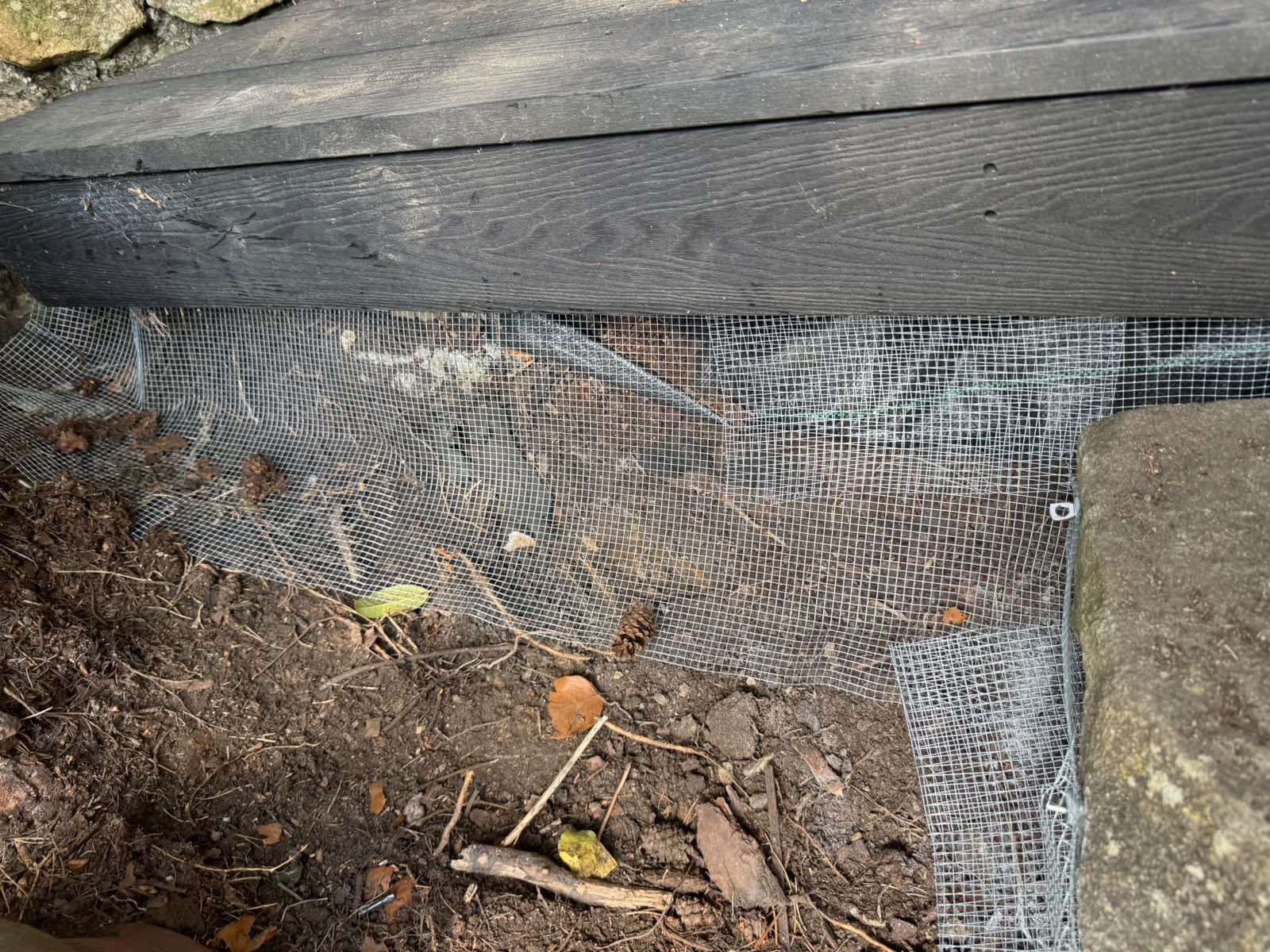 Galvanised mesh fitted beneath decking timbers to block rat access