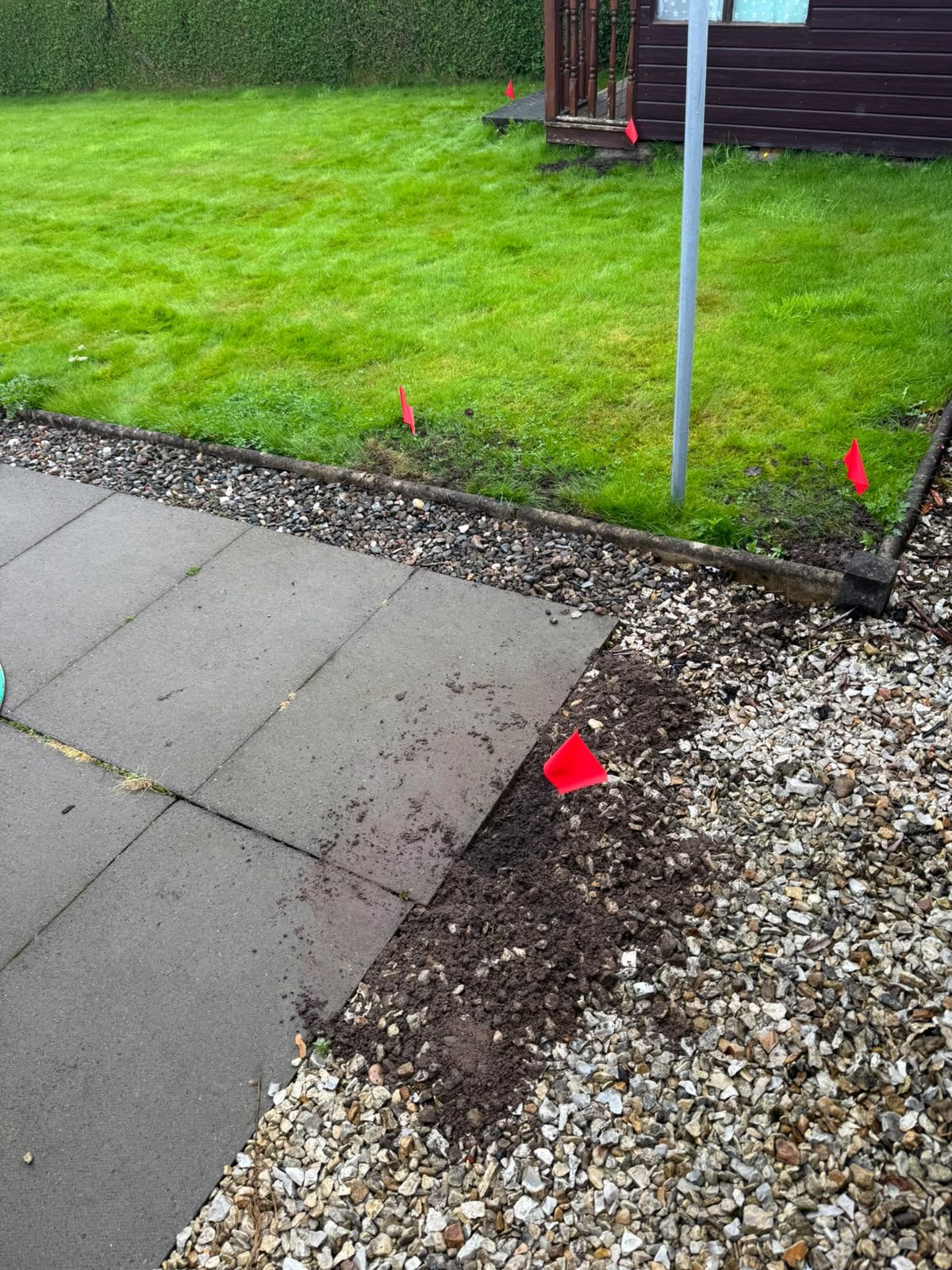 Rodent inspection flags marking active rat runs across a lawn