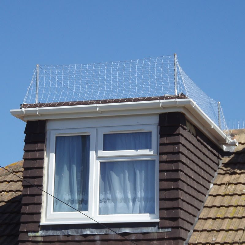Netting fitted over a dormer roof on a Glasgow property