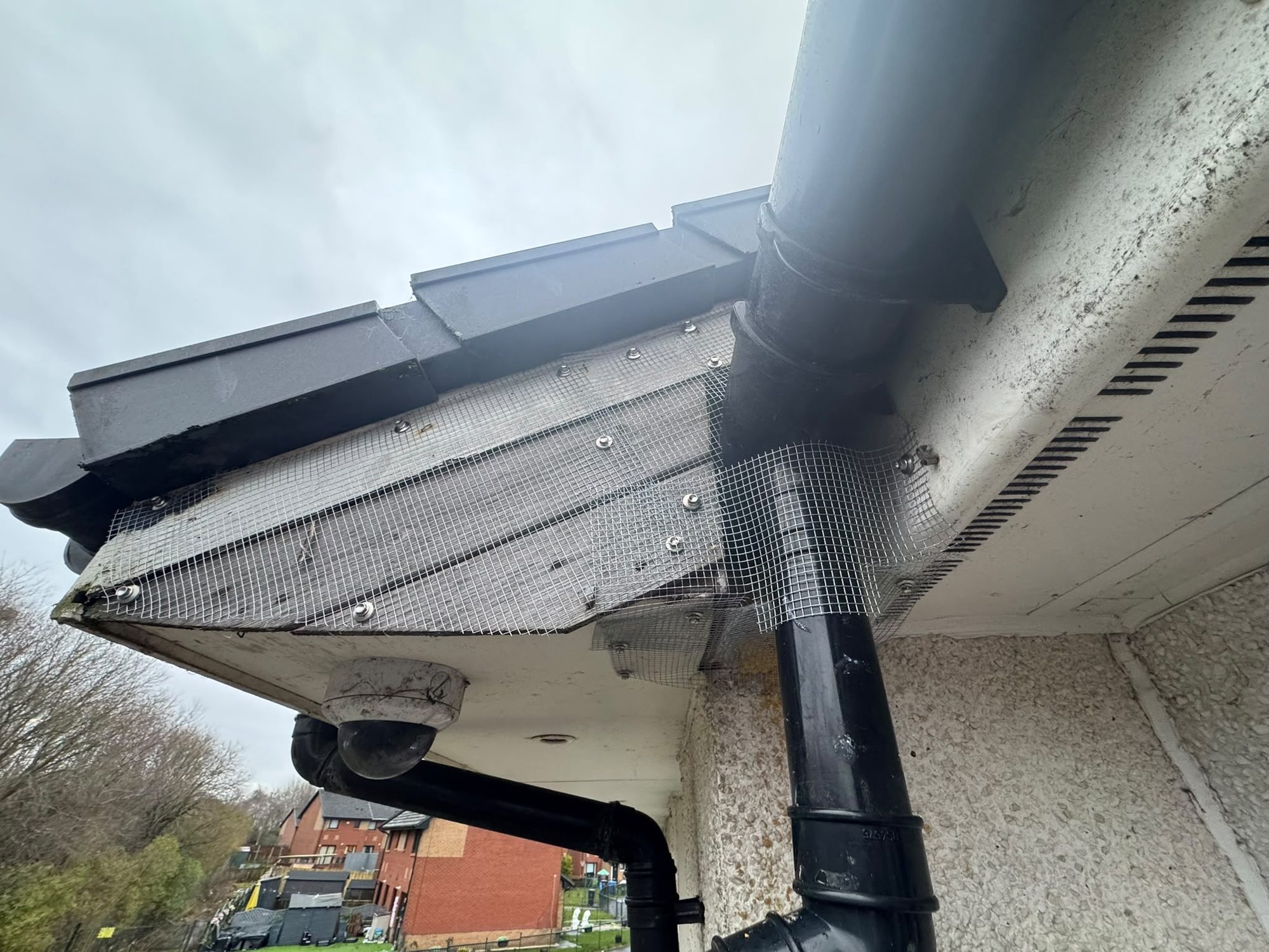 Mesh proofing fitted to a soffit and downpipe junction on a Glasgow block