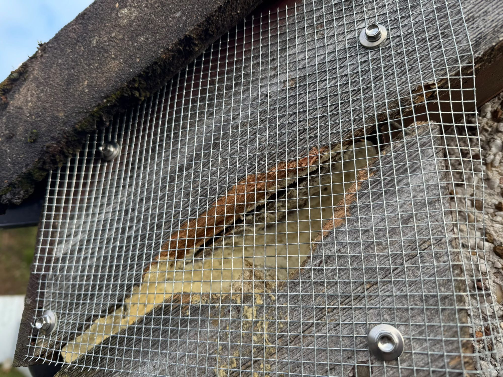 Steel mesh bolted over a damaged soffit to seal a rat entry point