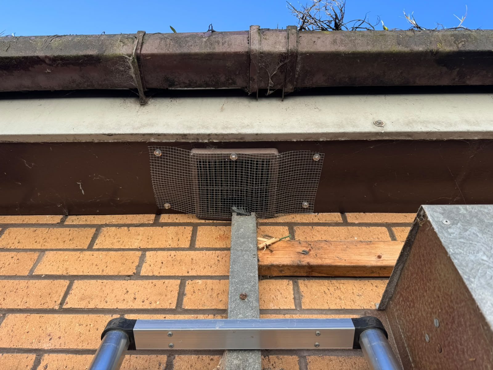 Wire mesh fitted over a wall vent beneath guttering to block rats