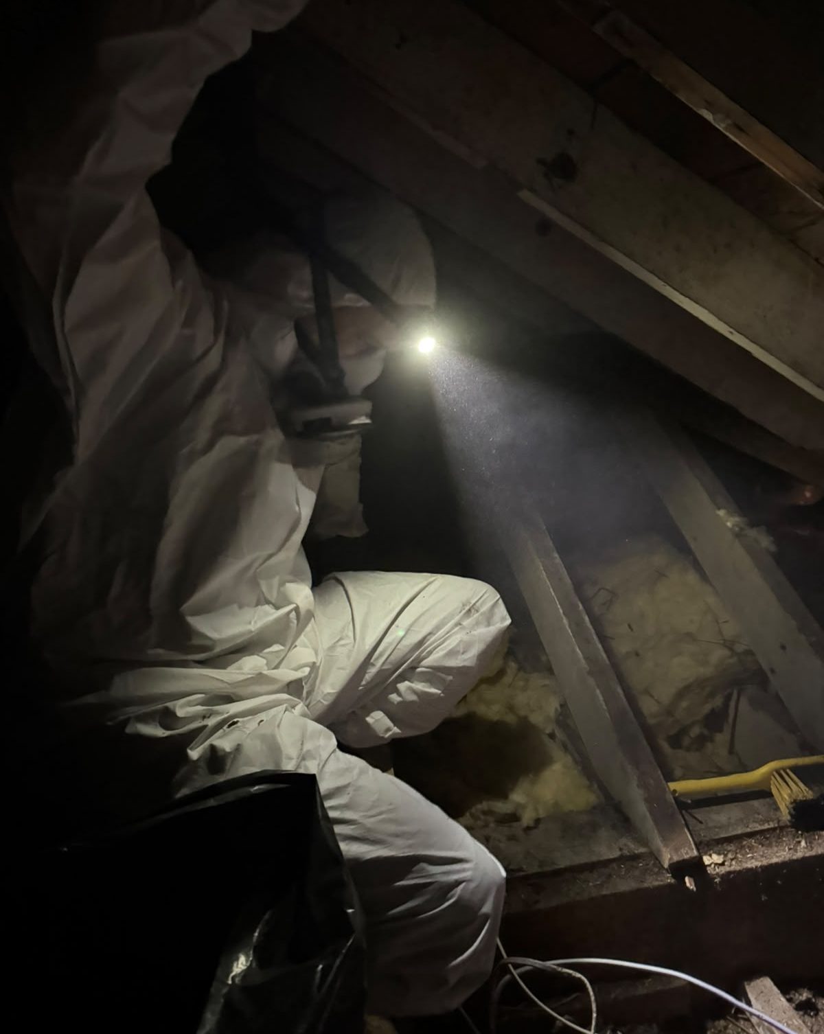 Technician in protective equipment inspecting a dark loft for pest activity