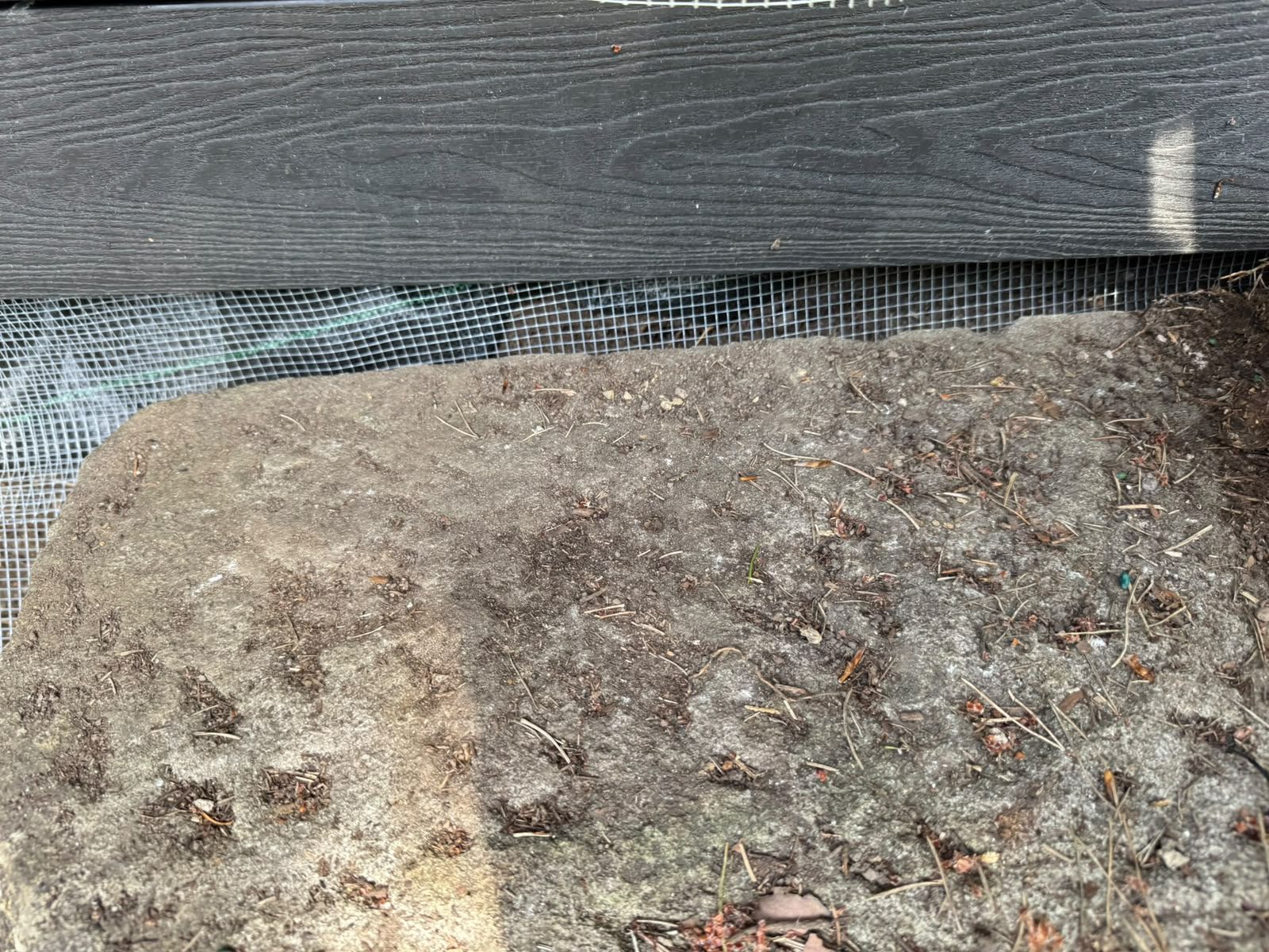 Steel mesh barrier fitted along the base of a building for rat proofing