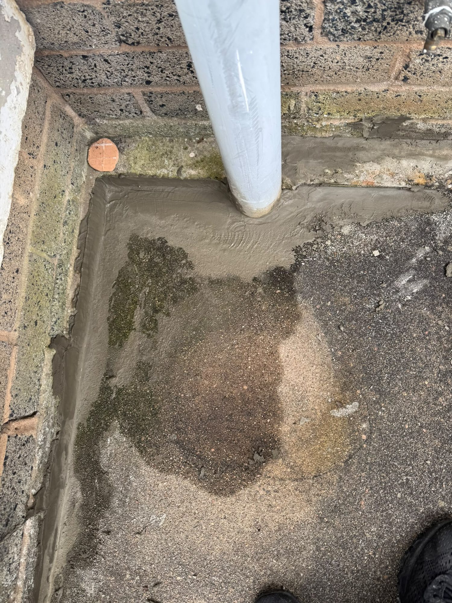 Mortar repair sealing a rodent entry point around an external pipe