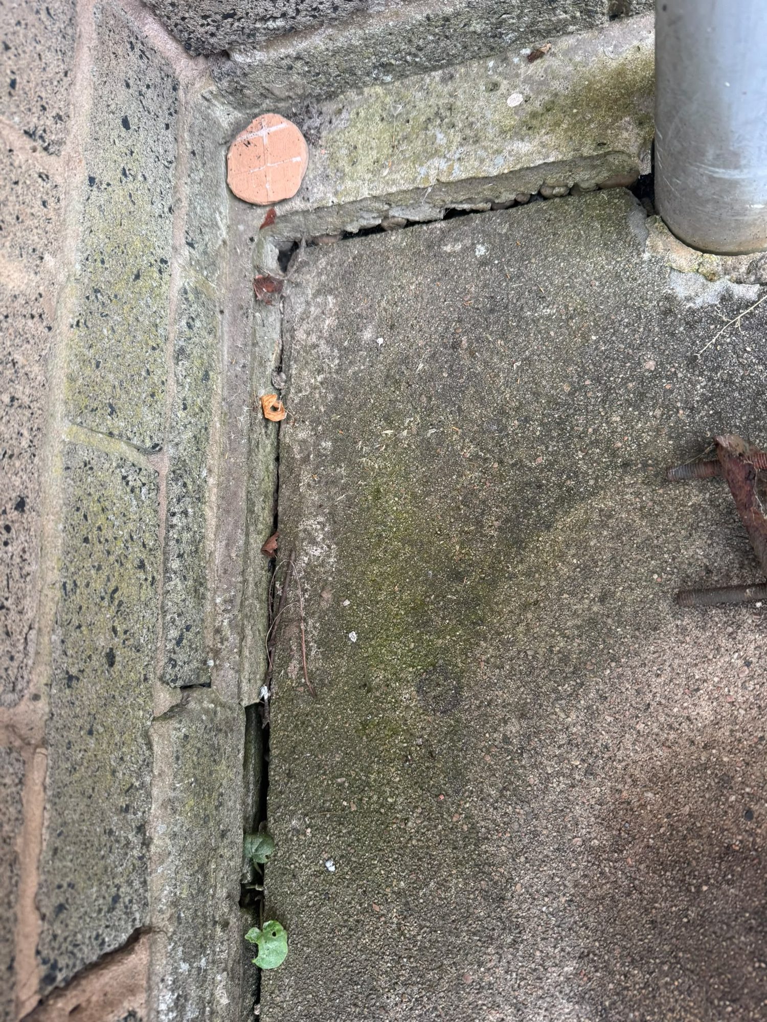Masonry gap marked for sealing during rat proofing work