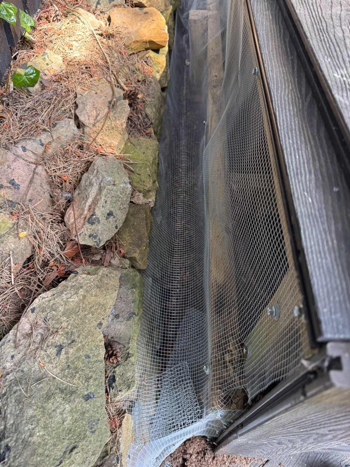 Fine steel mesh exclusion fitted along the side of a building