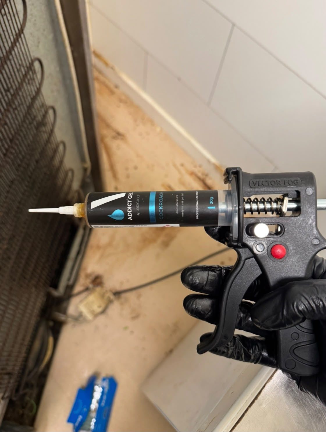Cockroach gel bait applied inside a Glasgow kitchen unit