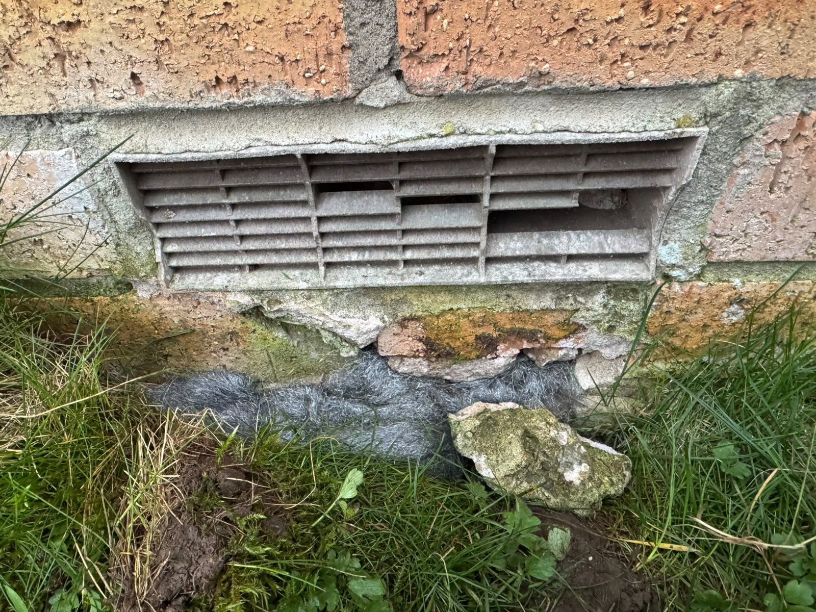 Wire wool proofing packed into a broken air brick on a Glasgow property
