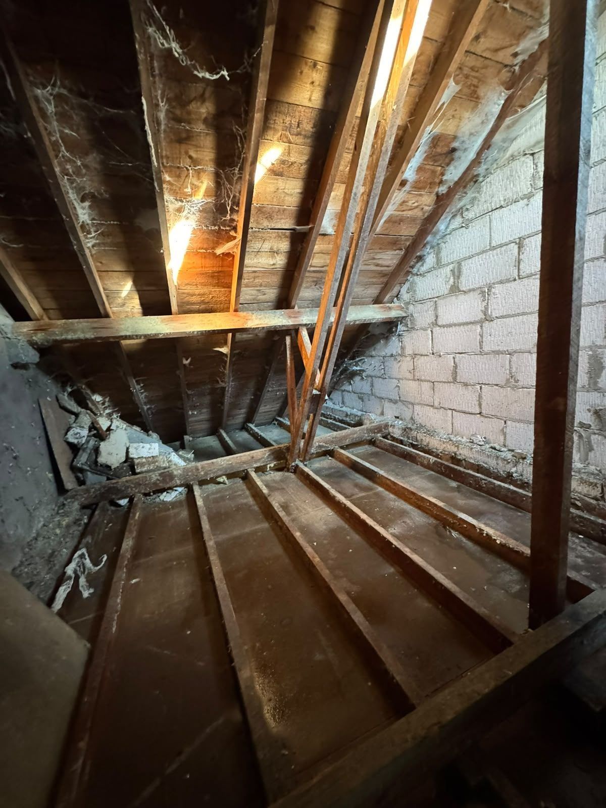 Exposed roof void timbers checked for pest harbourage during a survey