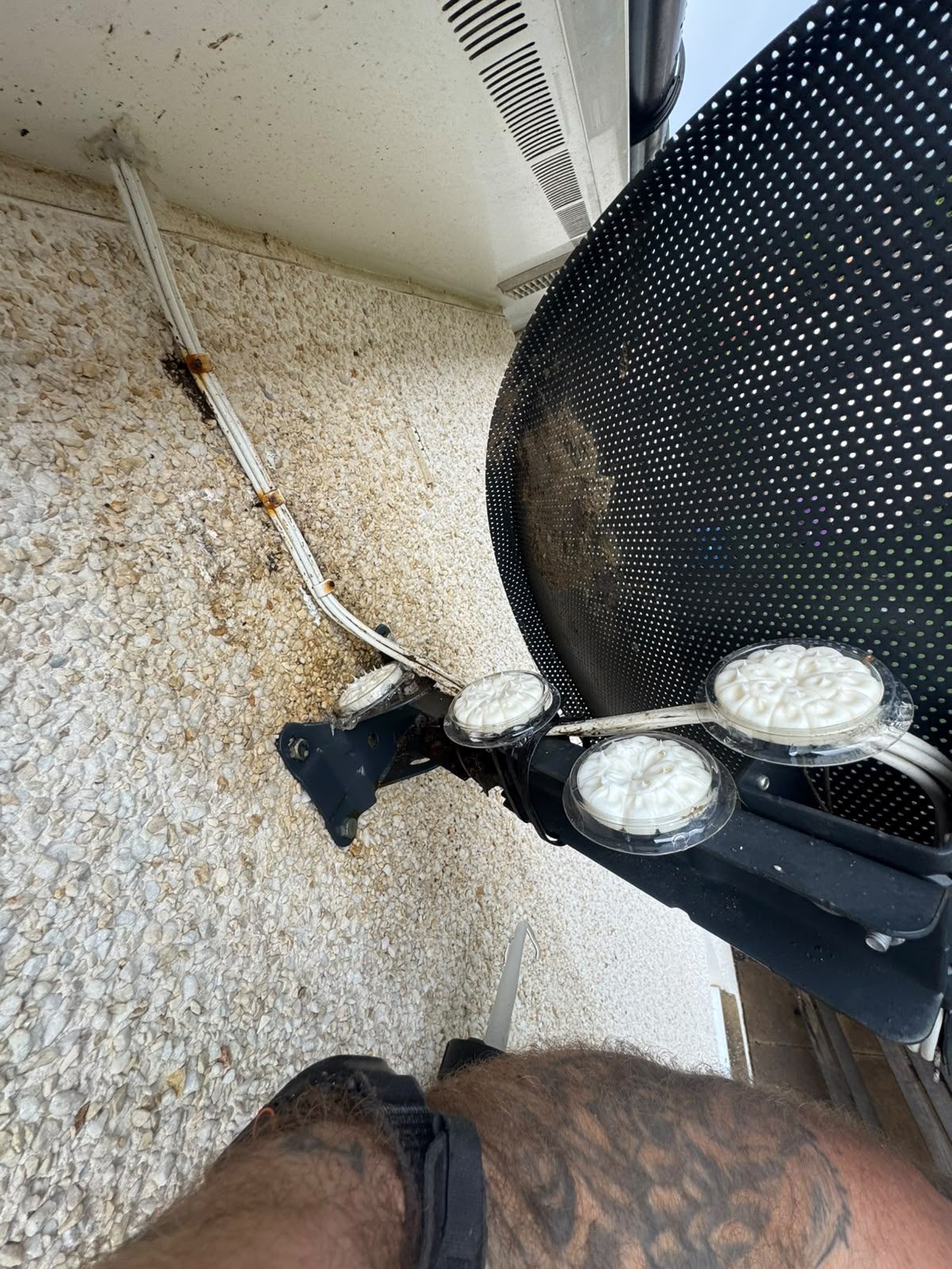 Rodent deterrent dishes placed beside a perforated proofing barrier