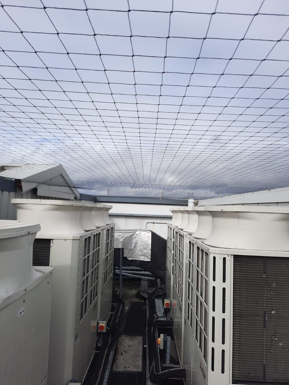 Bird netting installed above rooftop HVAC plant equipment